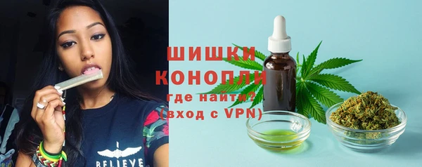 прущие крисы Сосновка