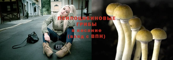 таблы Сосновоборск