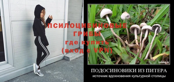 прущие крисы Сосновка