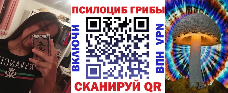 Галлюциногенные грибы Psilocybine cubensis  купить наркотики цена  Полтавская 